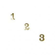 2 inch Solid Brass Bright Brass Finish House Numbers